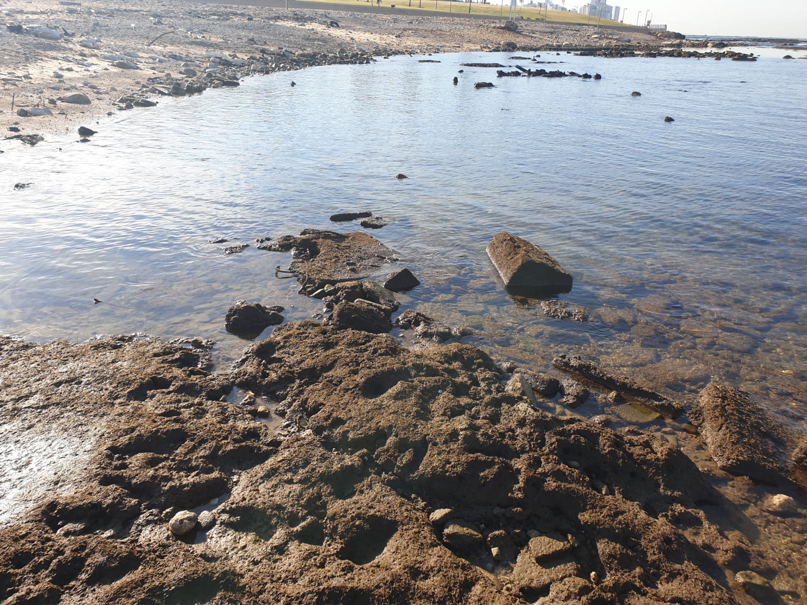 WhatsApp Image 2020-01-27 at 9.05.17 AM (1).jpeg.jpeg